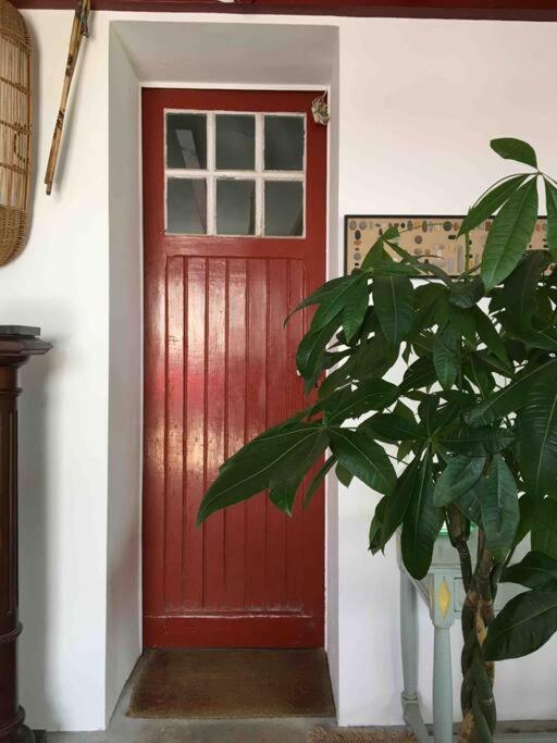 Appartement En Rez De Jardin Ciboure Exterior foto